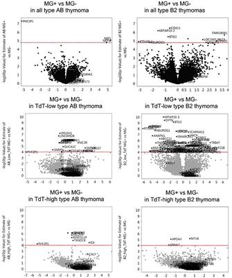 Thymoma Associated Myasthenia Gravis (TAMG): Differential Expression of Functional Pathways in Relation to MG Status in Different Thymoma Histotypes